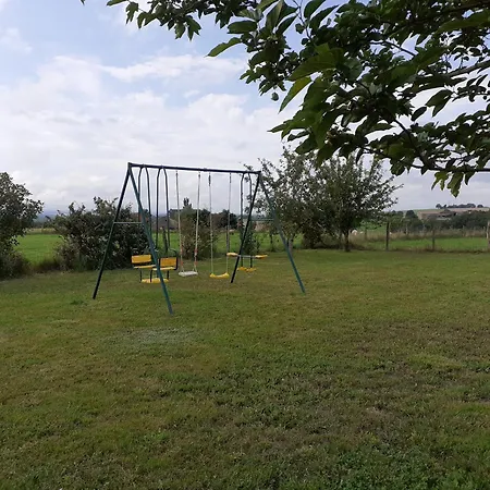 Confort Plain-pied 12 Min D'albi Pas De Vis-a-vis Andouque